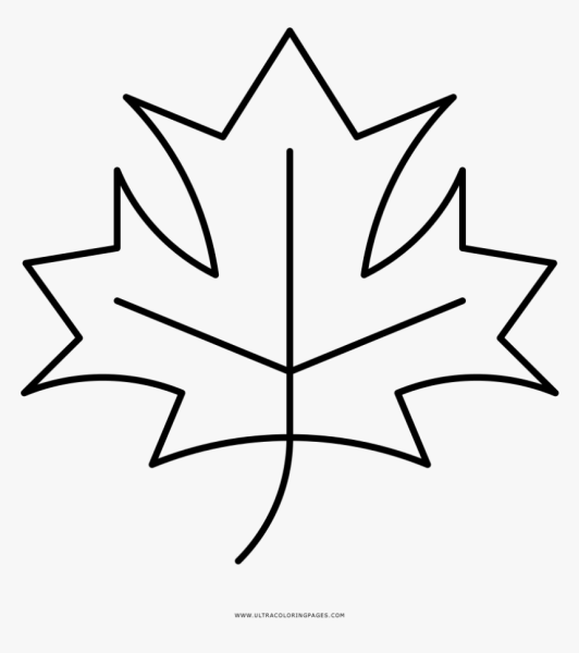 Кленовый лист контур