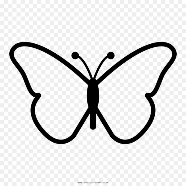 Бабочка контур