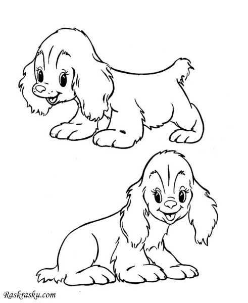 Щенок. Раскраска