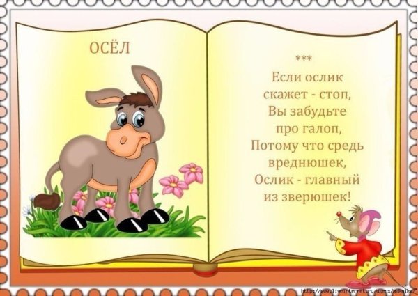 Стихи о животных