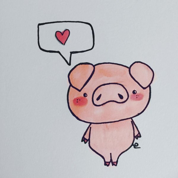 Свинка для срисовки легко