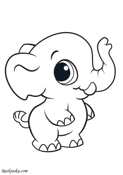 Раскраска. Милые животные
