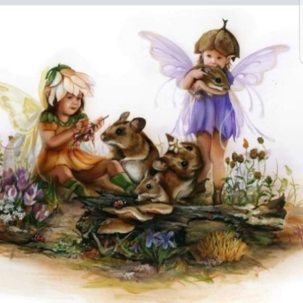 Сказочные феи и эльфы