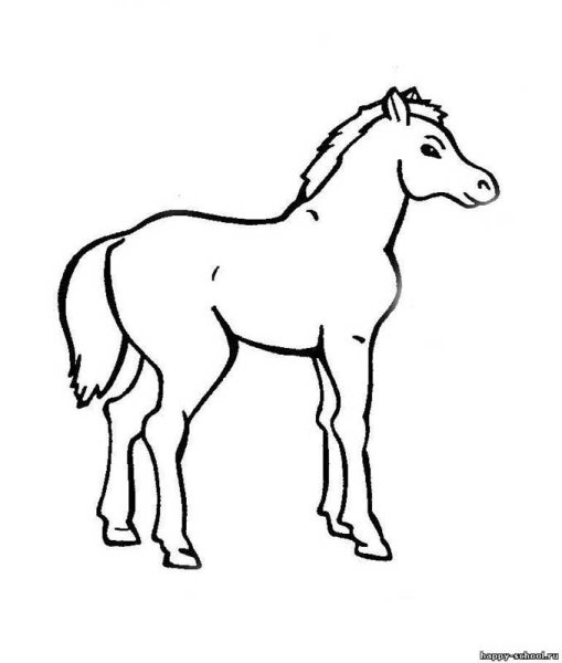 Жеребенок для раскрашивания детям