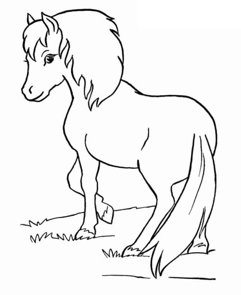 Раскраски лошади и пони
