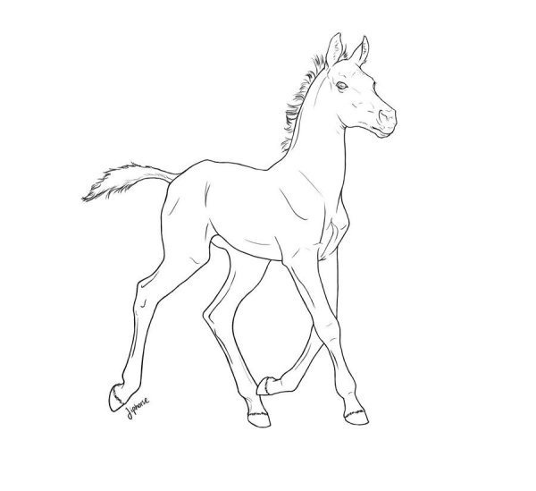 Жеребенок раскраска для детей
