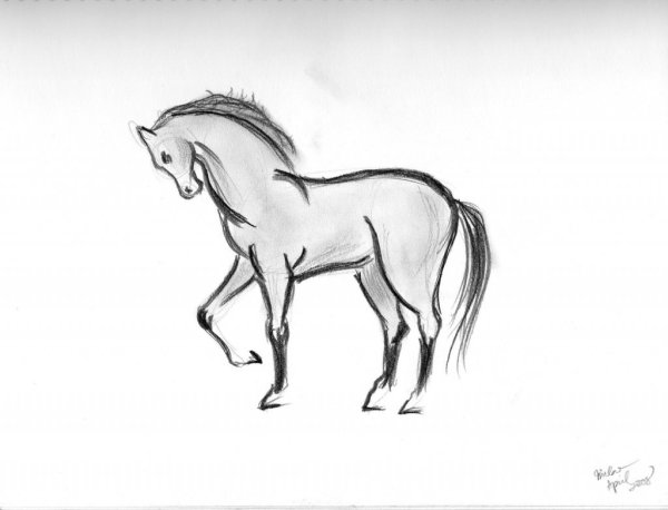 Рисунки лошадей карандашом легкие