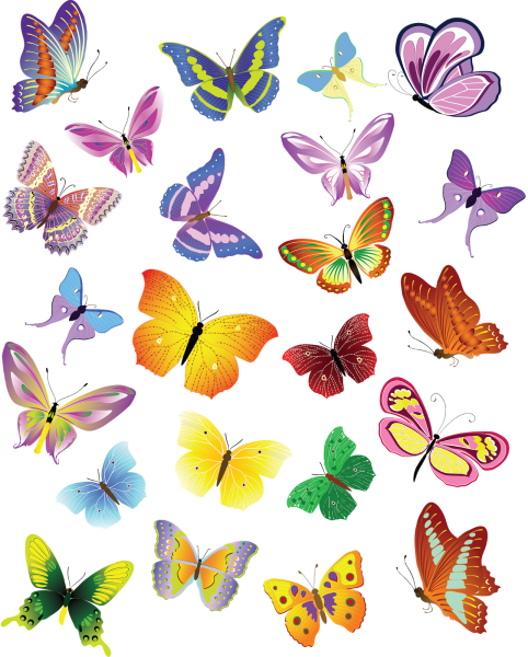 Разноцветные бабочки