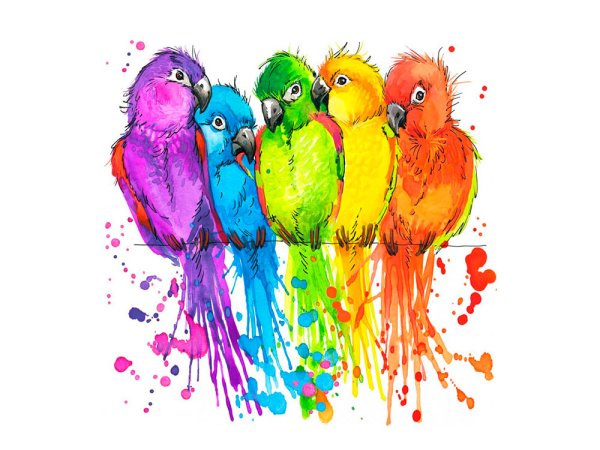 Раскрашивание цветными карандашами