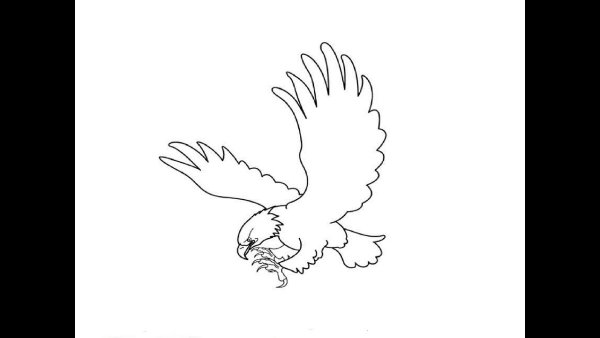 Орёл рисунок карандашом для детей