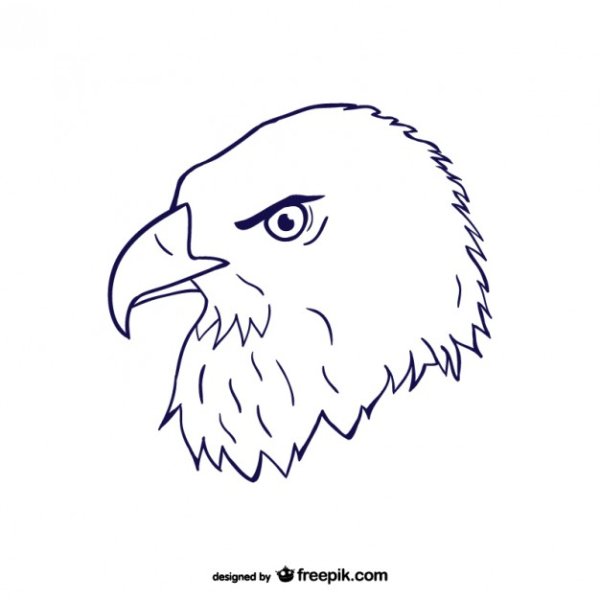 Голова орла сбоку