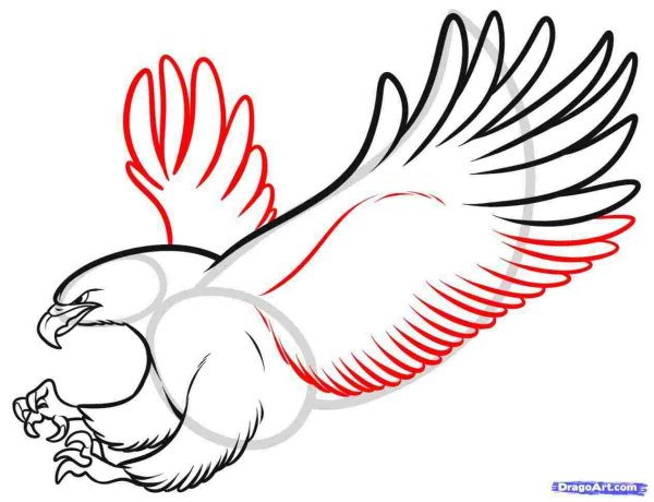 Картинки орла для срисовки