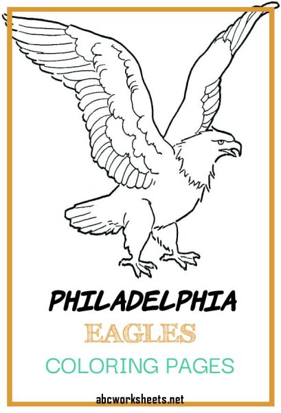 Орлан-белохвост белоголовый