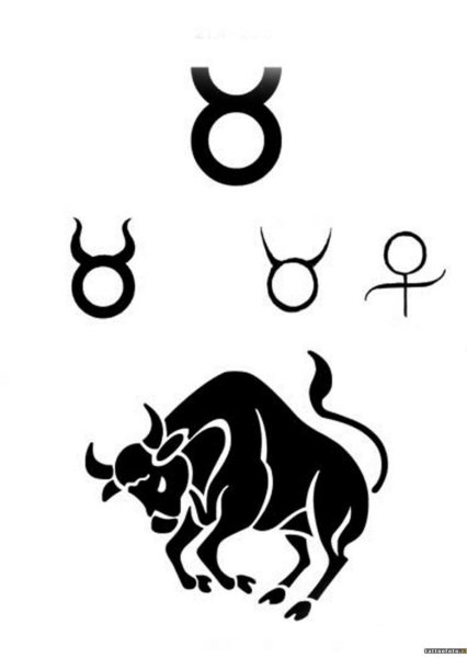Знак тельца тату