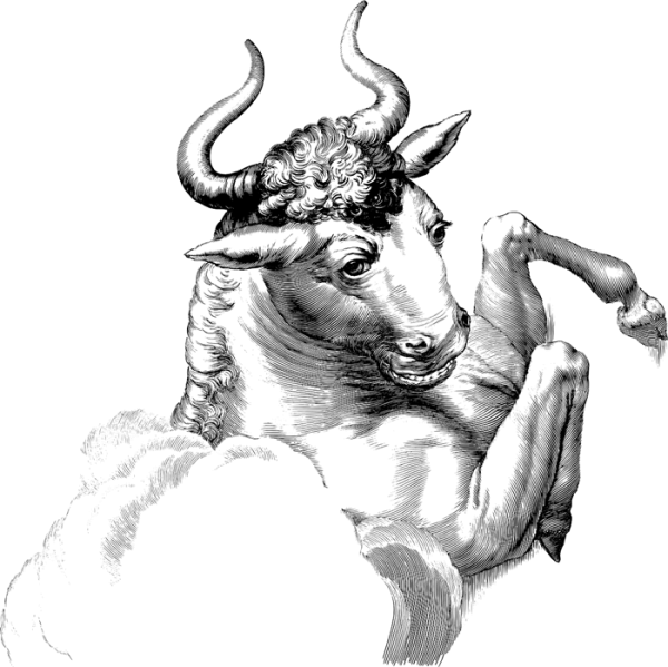 Таурус бык Телец
