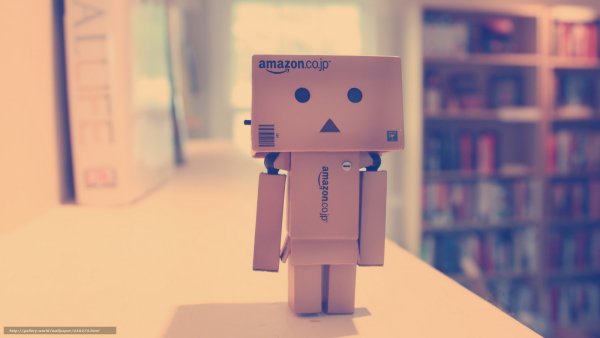 Картонный робот Danbo