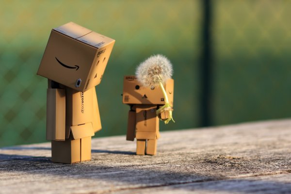 Картонный робот Danbo