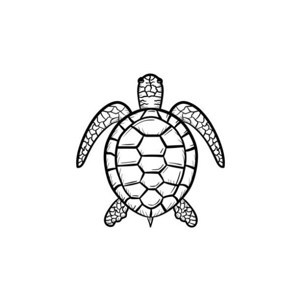 Тату Черепашки маленькие эскизы