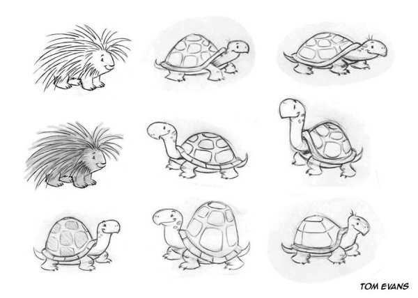 Черепашки маленькие рисунки