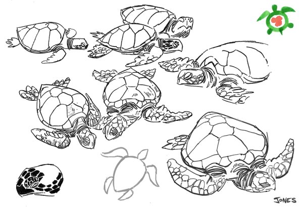 Раскраска черепахи много черепах