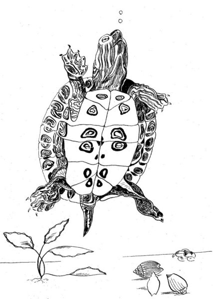 Тату черепаха красноухая