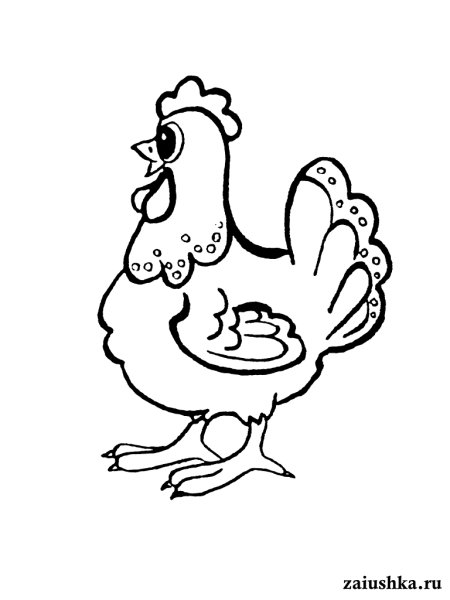 Раскраска курица с цыплятами