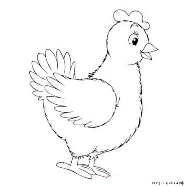 Курочка Ряба раскраска для малышей
