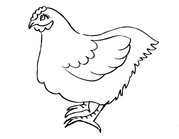 Курочка с ведром раскраска