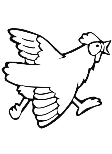 Курица бежит