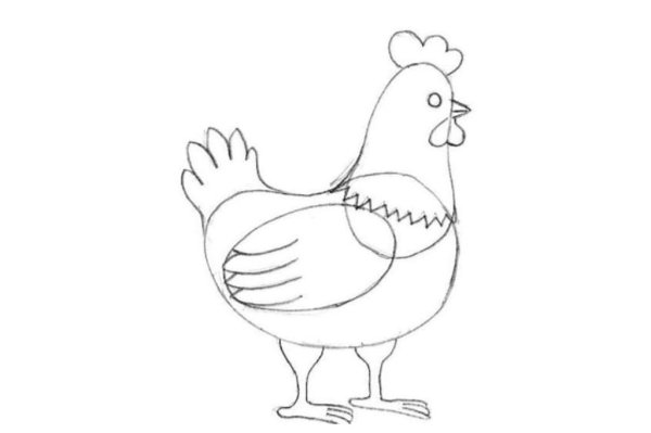 Контурный петух