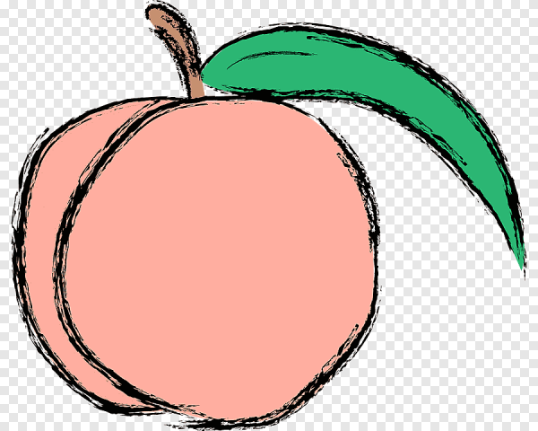 Персик рисунок