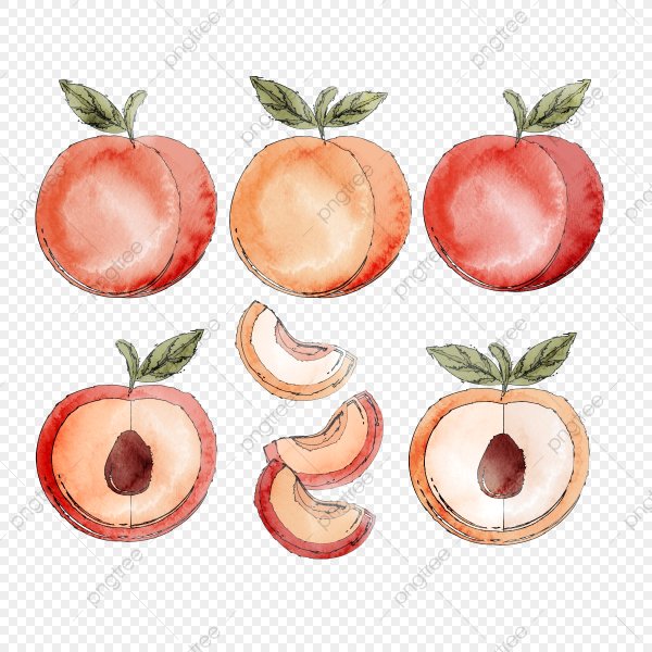 Персик нарисованный