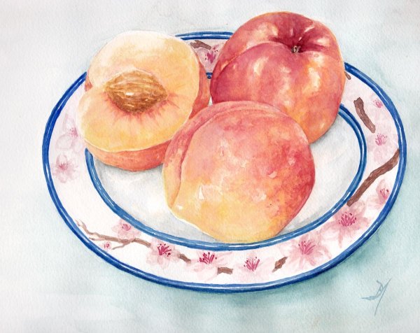 Персик для рисования