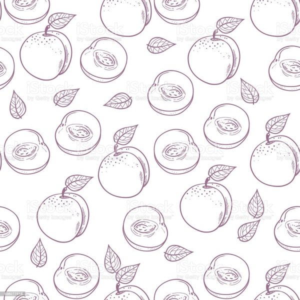 Персики для распечатки черно белые