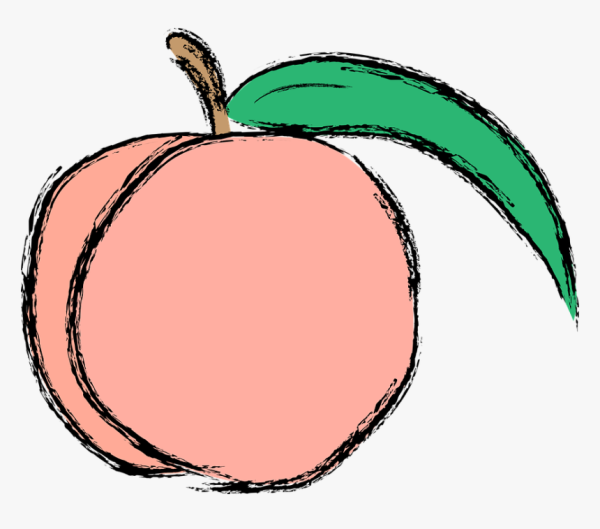 Персик рисунок