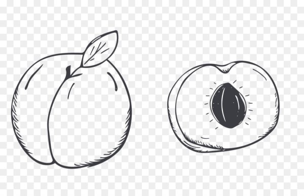 Персик нарисованный