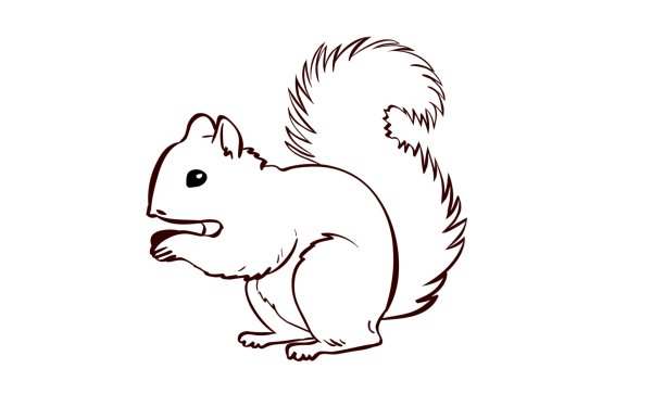 Раскраска Белочка