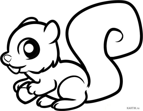 Разукрашка Белочка