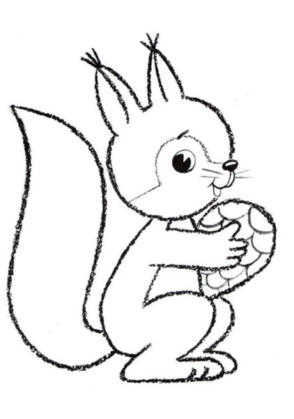 Белочка рисунок для детей раскраска