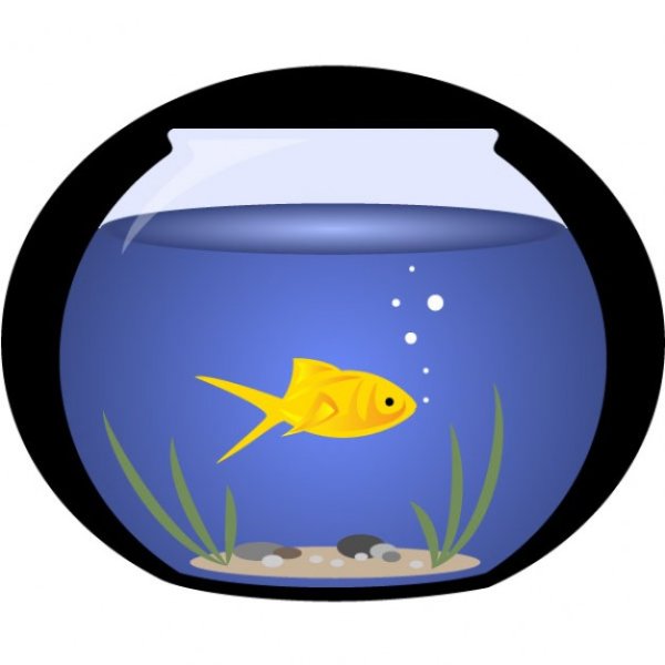 Круглый аквариум рисунок