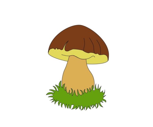 Грибок рисунок