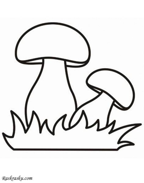 Гриб раскраска