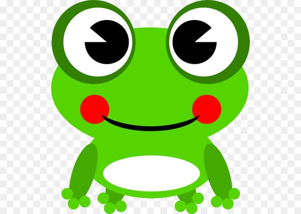 Лицо лягушки нарисовать