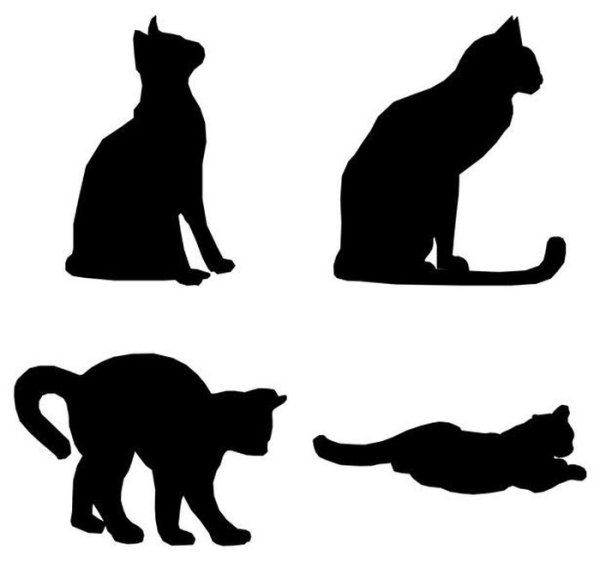 Силуэты кошек в разных позах