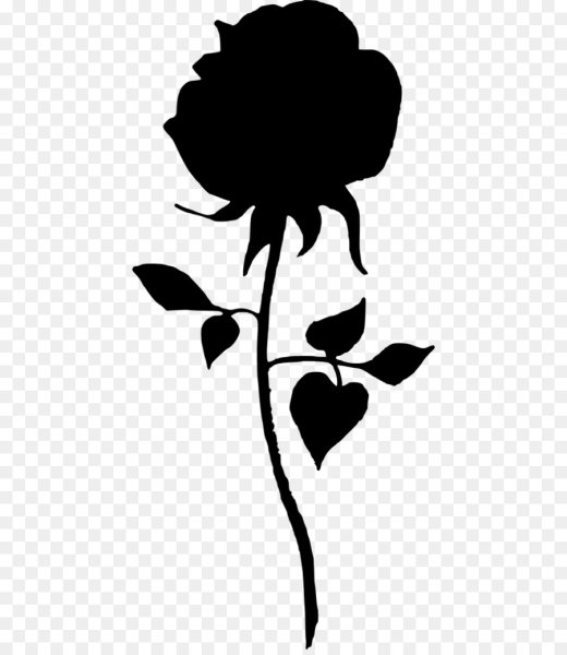 Силуэт розы на прозрачном фоне