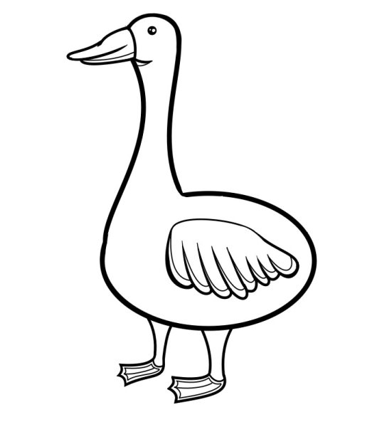 Гусь раскраска для детей