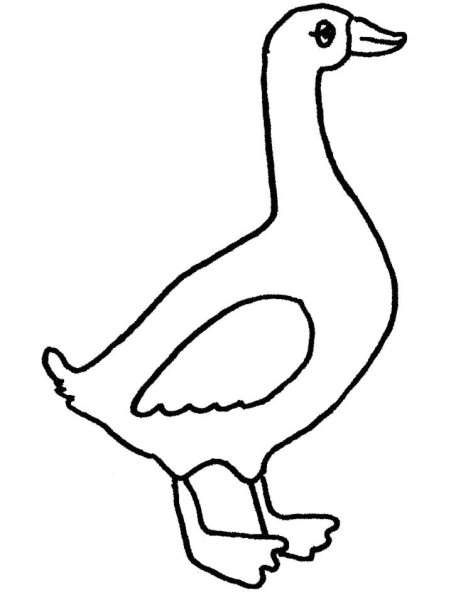 Гусь раскраска для детей