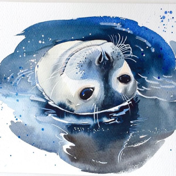 Марина Игнатова Нерпа