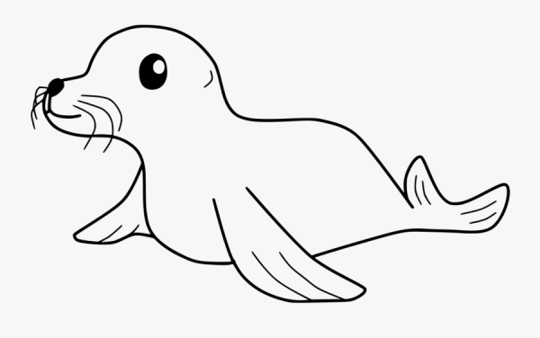 Тюлень раскраска для детей