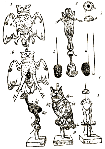 Сетон-Томпсон моя жизнь маленькие дикари